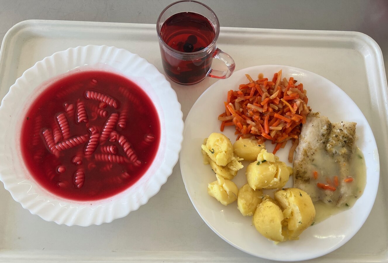 Obiad - dieta łatwostrawna